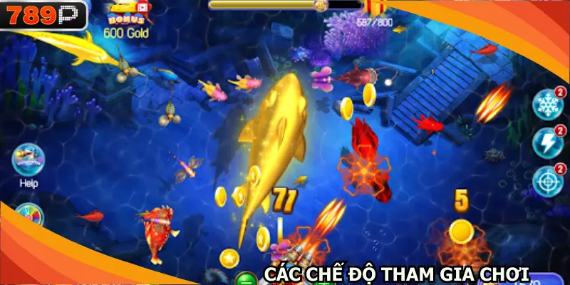 Các chế độ tham gia chơi dành cho mọi ngư thủ